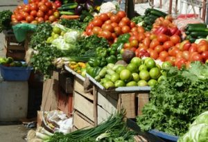 GHANAVEG HORTICULTURAL TRADE MISSION TO GHANA